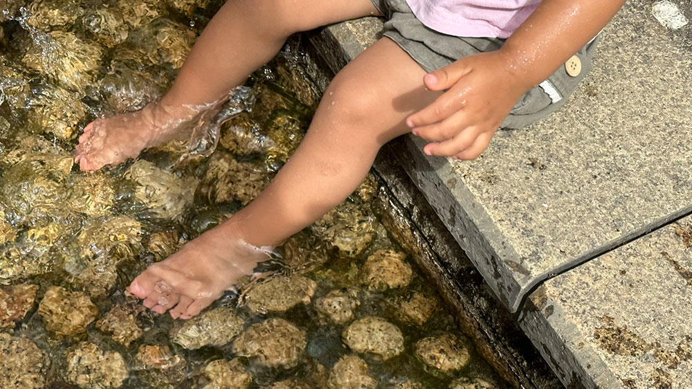 足を水につけてリラックス